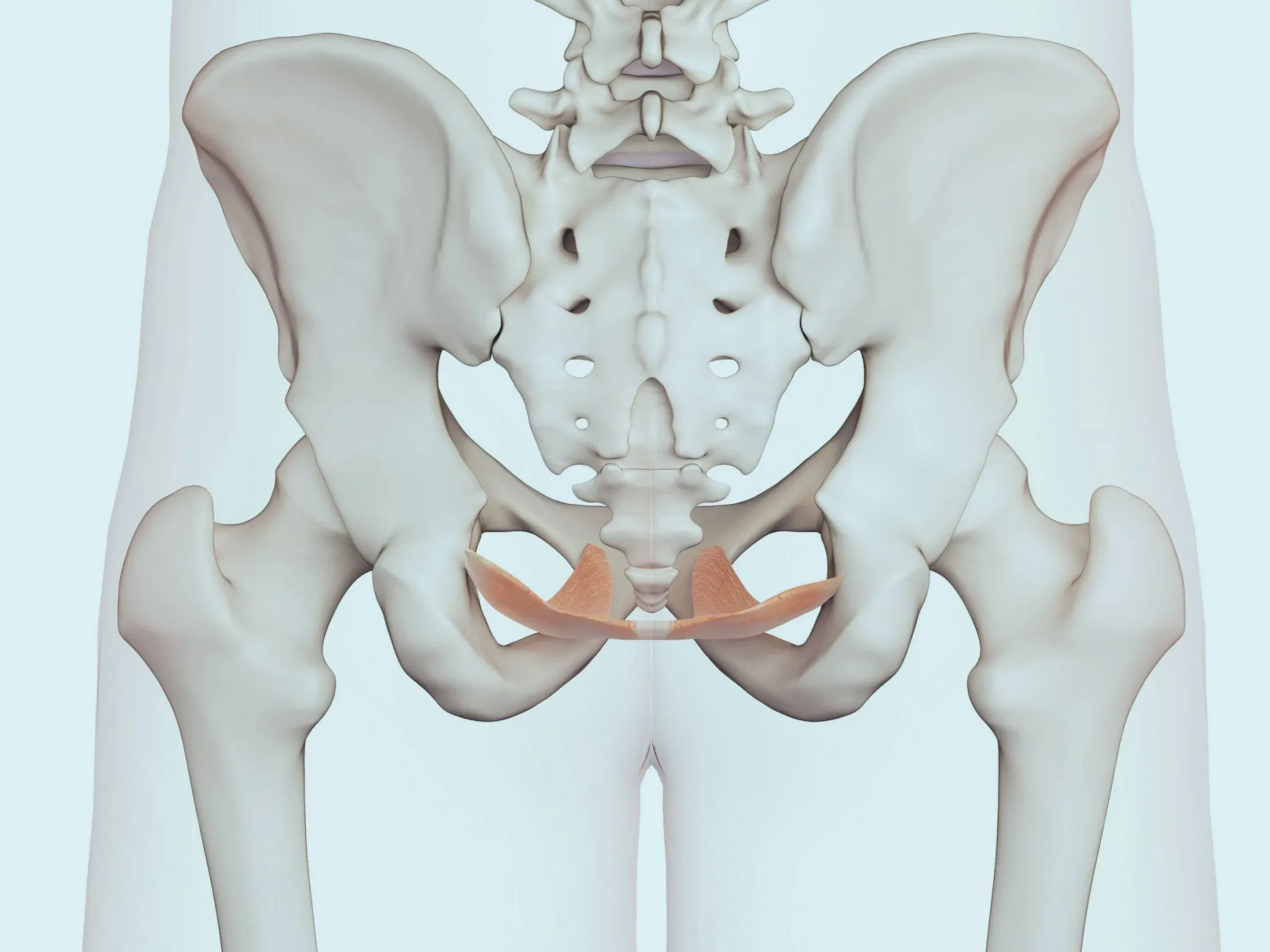 pelvic girdle pain (PGP)